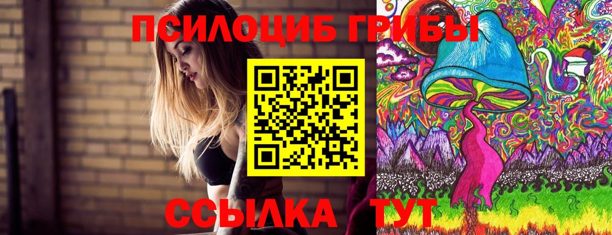 Псилоцибиновые грибы Psilocybine cubensis Жуковский