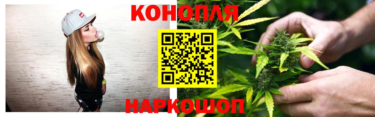 МАРИХУАНА сатива Жуковский